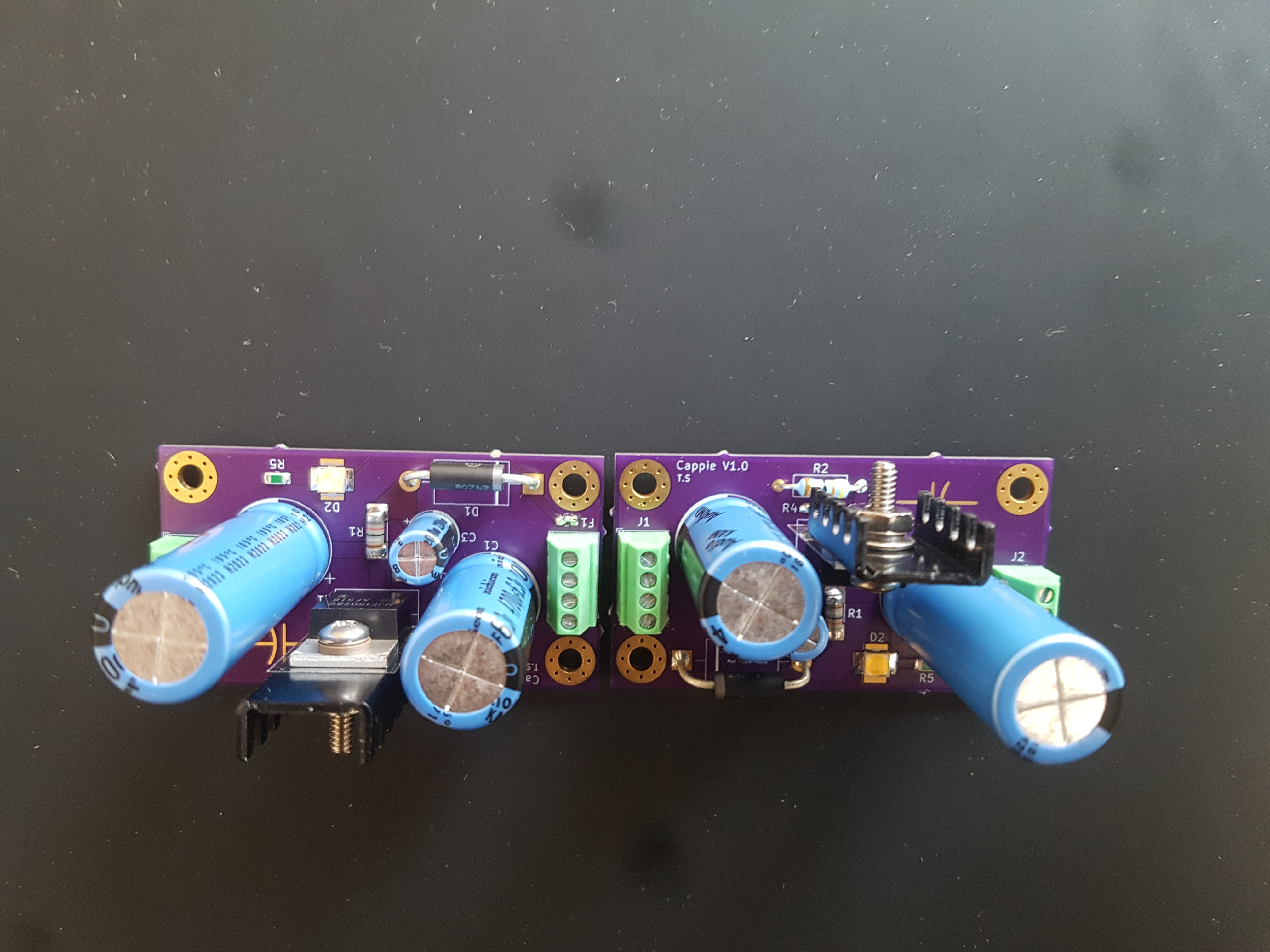 Assembled Cappie V1 audio-amplifier PCB