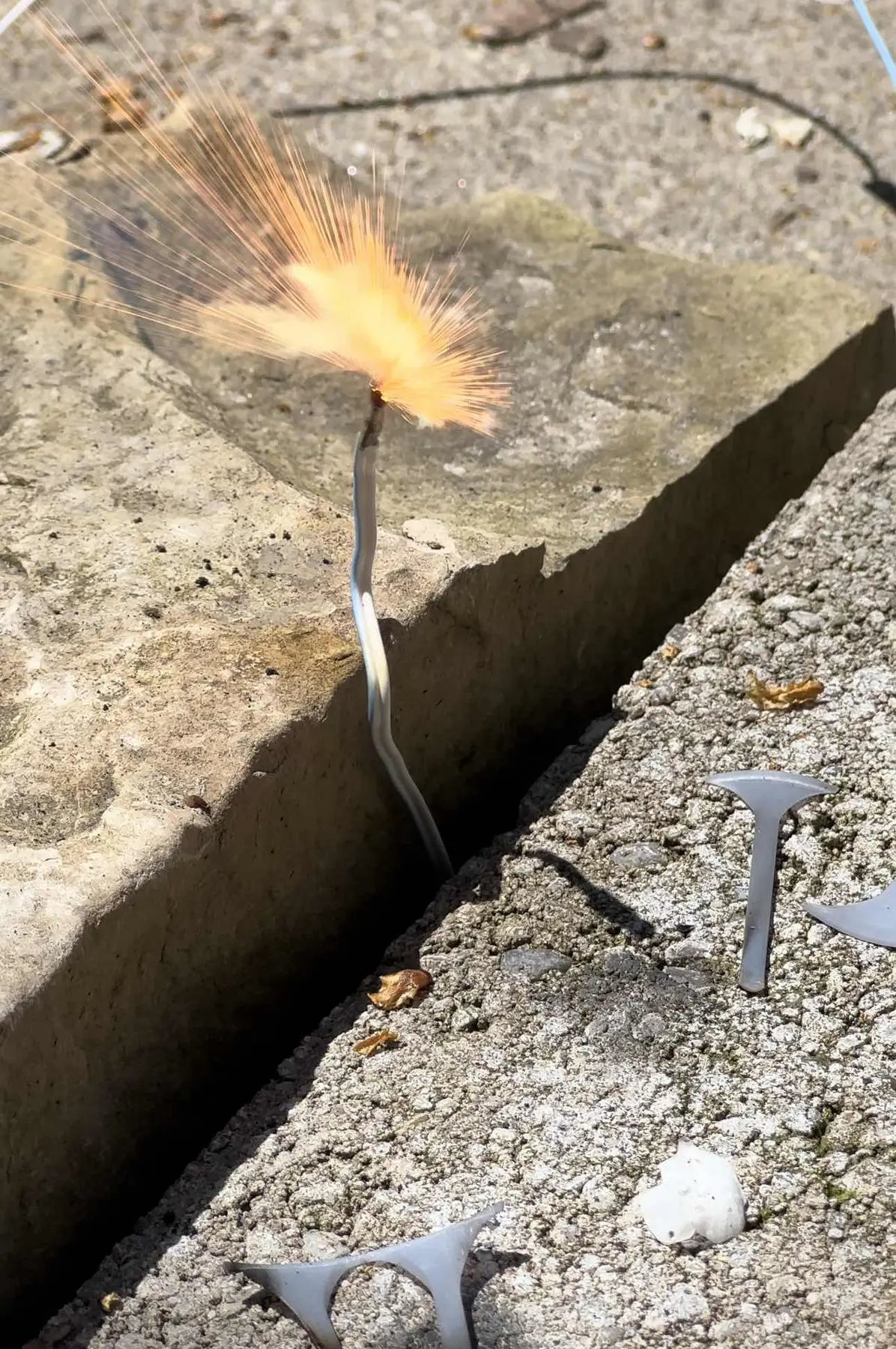 Igniter firing during the May 2023 component campaign